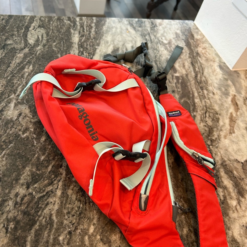 Patagonia Red Backpack